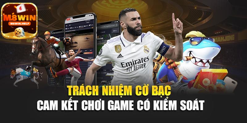 Những thông tin về cờ bạc có trách nhiệm M8Win