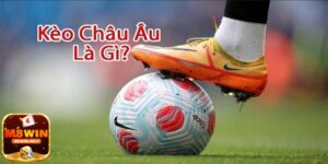 Thuật ngữ kèo châu Âu là gì?