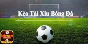 Hướng dẫn cách tính tiền Kèo tài xỉu là gì