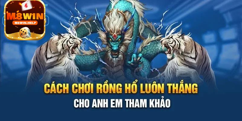 Những mẹo chơi Rồng Hổ M8Win từ cao thủ