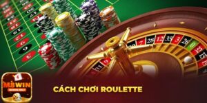 Trò chơi Roulette M8Win có gì hấp dẫn? 