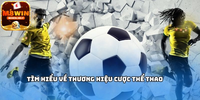 Giới thiệu M8Win bí quyết cá cược đỉnh cao từ các cao thủ