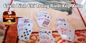 Tổng quan về binh xập xám ăn chi